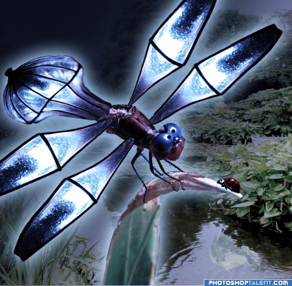 Creation of Dragonfly: Final Result